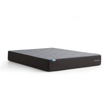 Load image into Gallery viewer, Malouf Neve CoolSync 10"