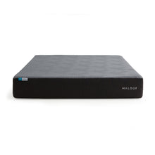 Load image into Gallery viewer, Malouf Neve CoolSync 10"