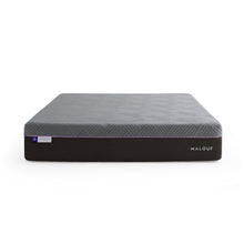 Load image into Gallery viewer, Malouf Polaris ActivAir 12"
