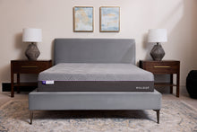 Load image into Gallery viewer, Malouf Polaris ActivAir 12"