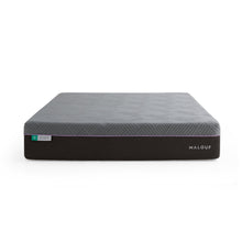 Load image into Gallery viewer, Malouf Polaris AeroFlex Latex 12"