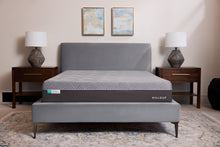 Load image into Gallery viewer, Malouf Polaris AeroFlex Latex 12"