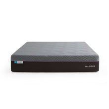 Load image into Gallery viewer, Malouf Polaris CoolSync 12"